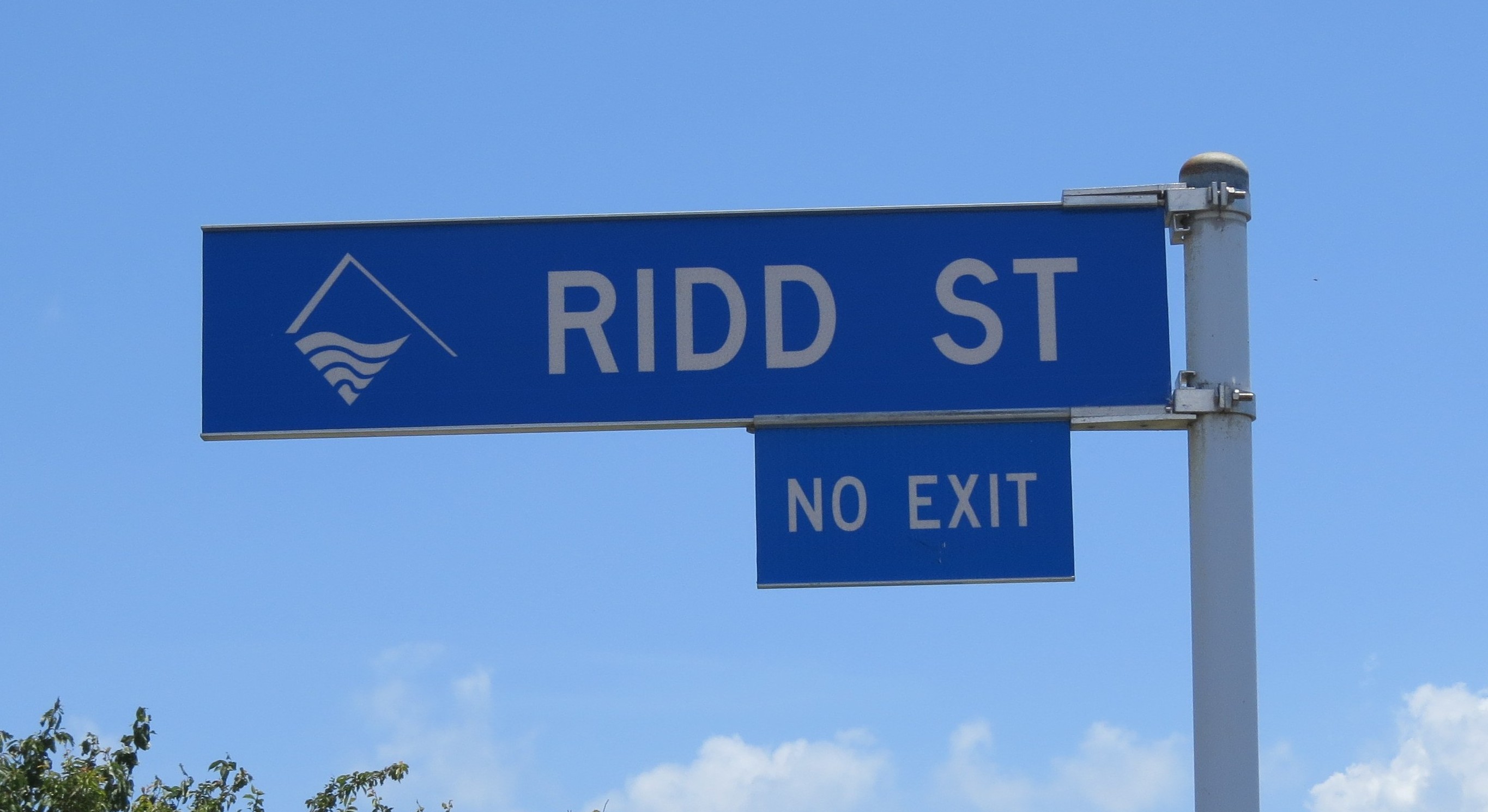 Ridd Street (2025). Rachel Sonius. Word on the Street image collection.