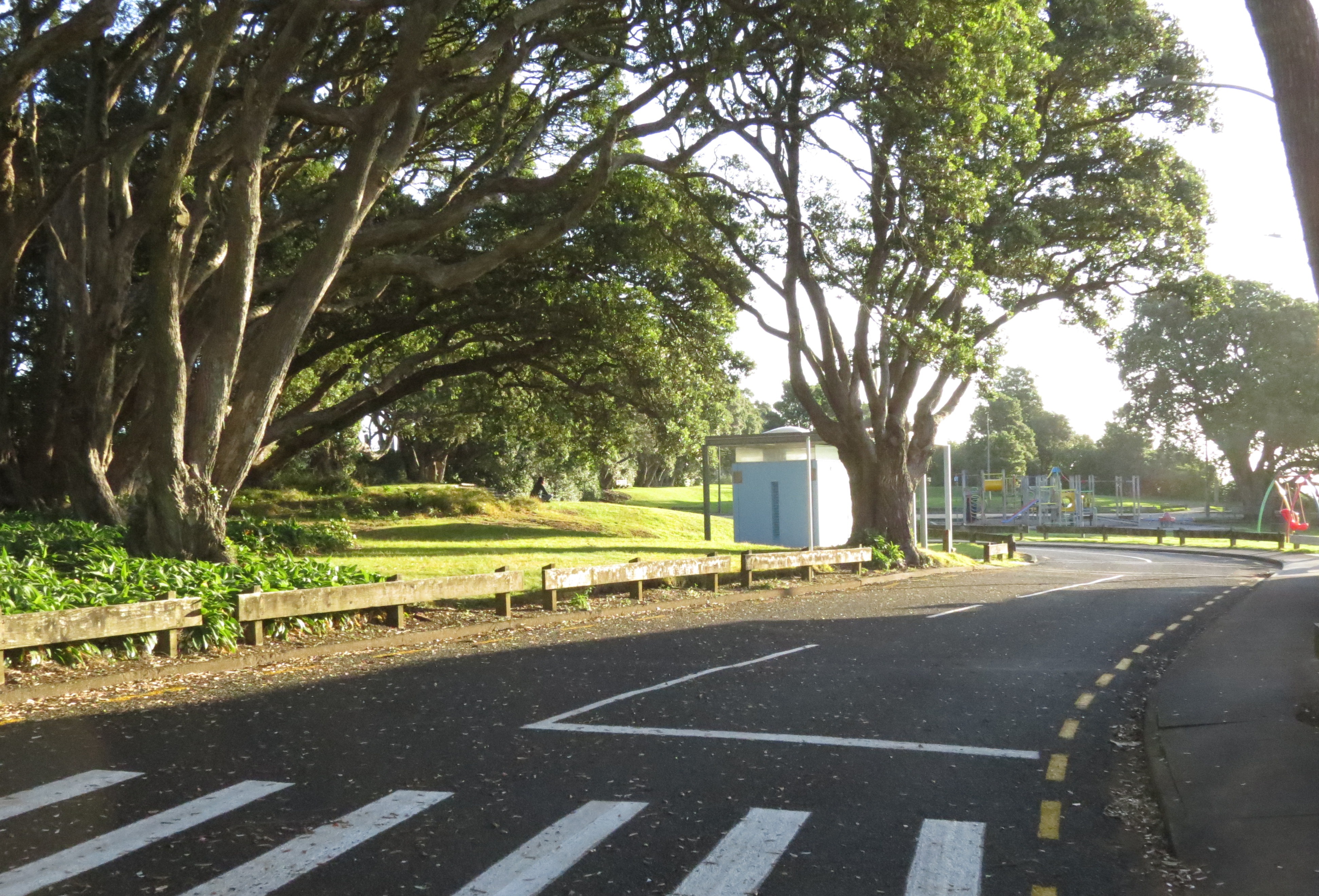 Tisch Avenue leading to Kawaroa Park (2020). Rachel Sonius. Word on the Street image collection.