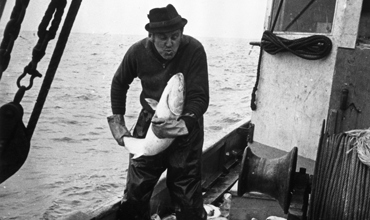 Loui Kuthy trawling off the North Taranaki Bight (1960s). Unknown photographer. Collection of Puke Ariki (PHO2015-0136).