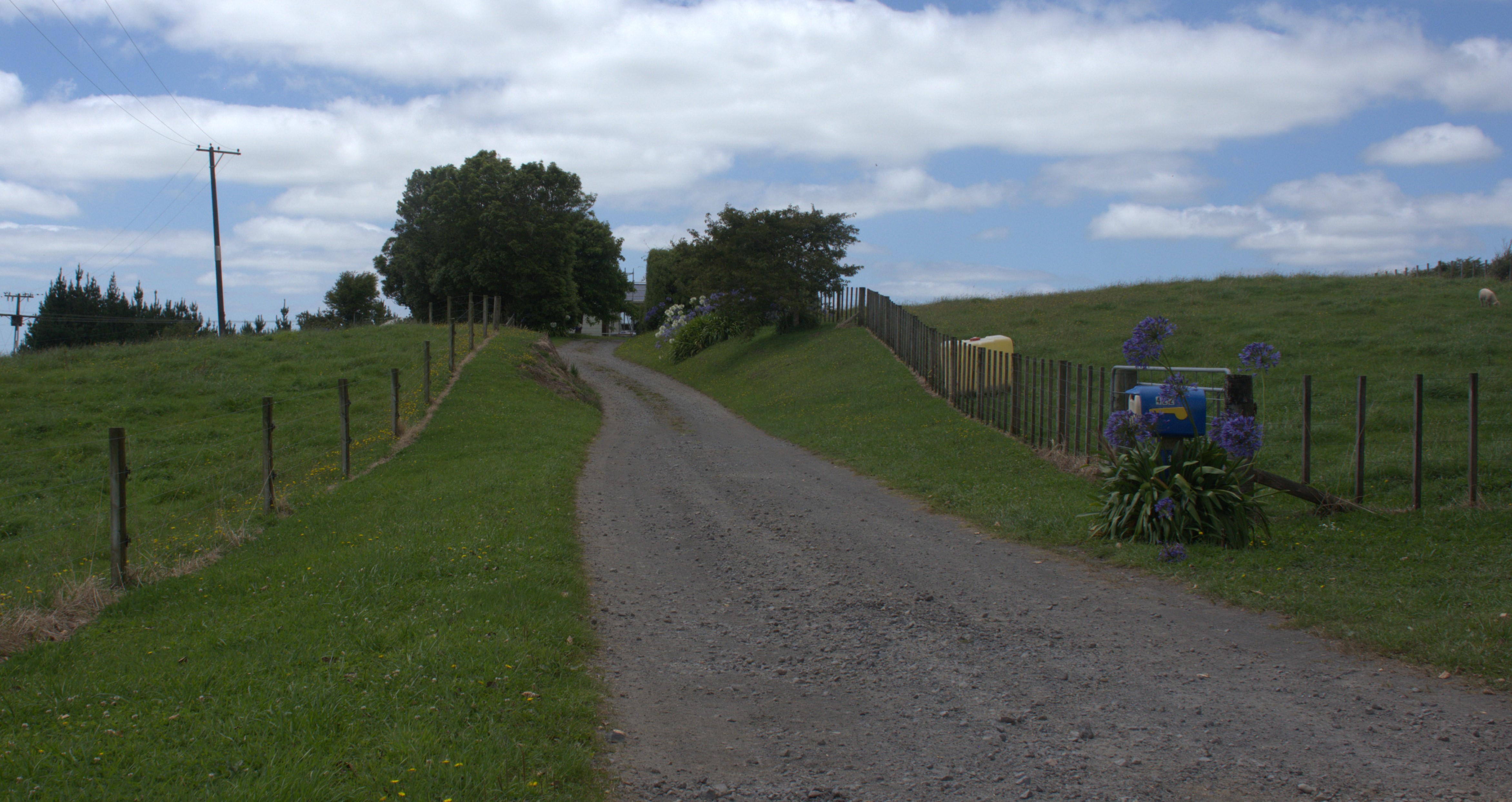 Sangster Road Entrance Copy For Web