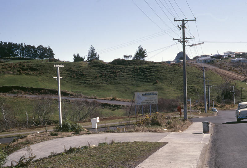 Pukeori Pa PHO2011 0480