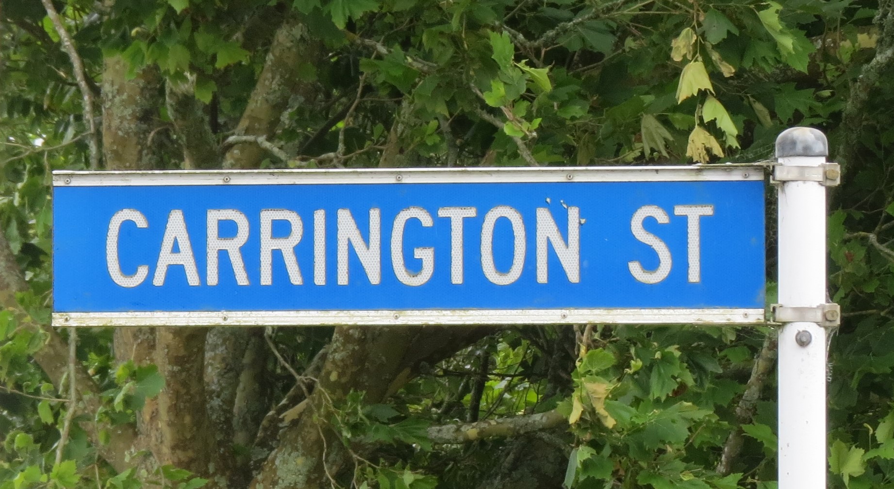 Carrington Street (Inglewood) sign (2024). Rachel Sonius. Word on the Street image collection.