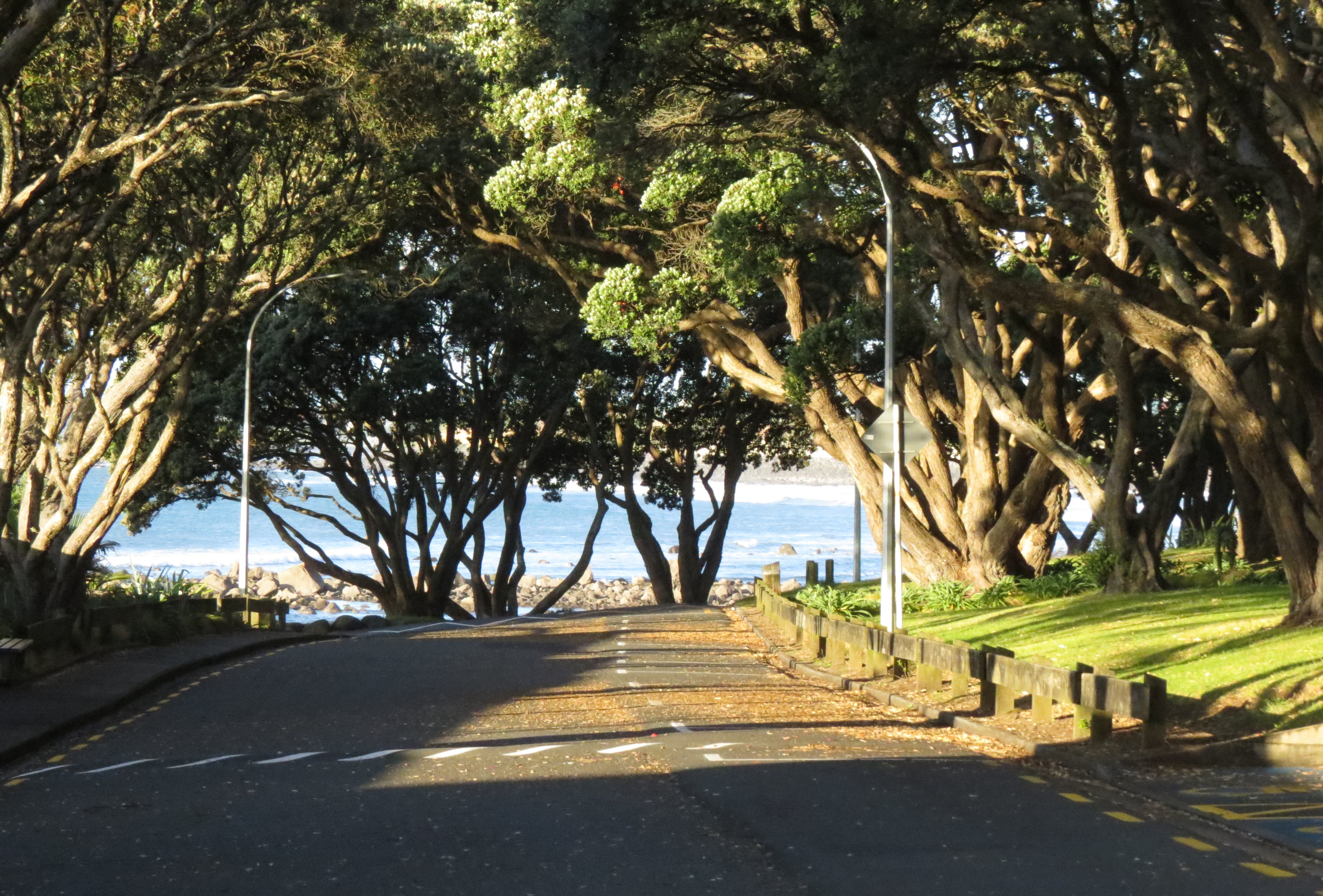 Tisch Avenue (2020). Rachel Sonius. Word on the Street image collection.