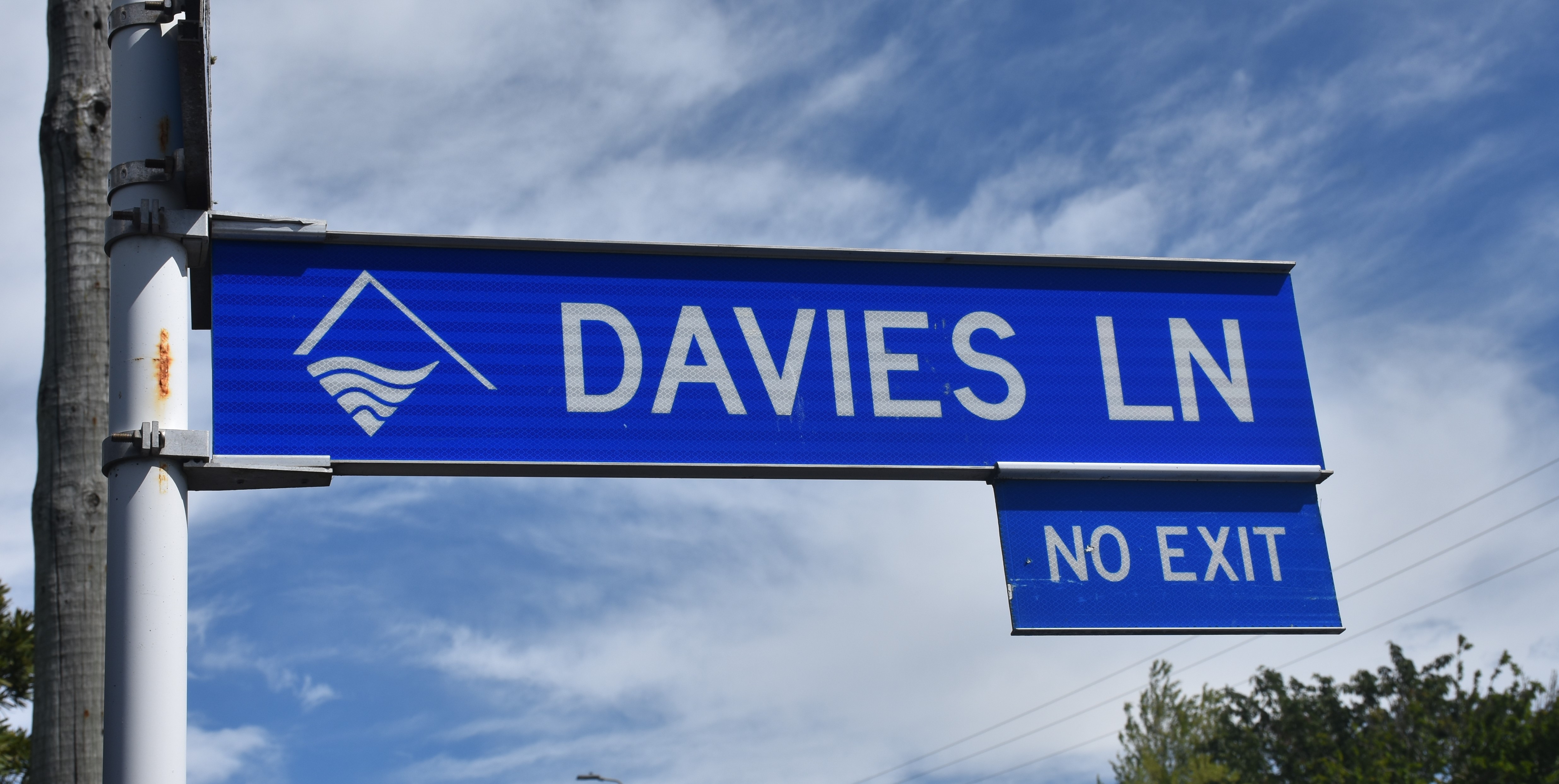 Davies Lane Copy For Web