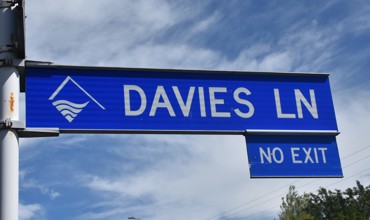 Davies Lane Copy For Web