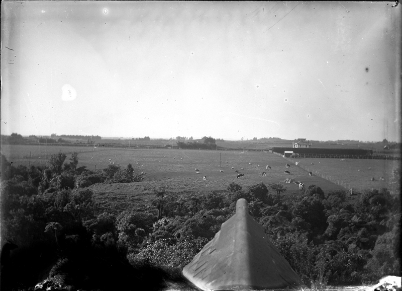 View from Brooklands (around 1907). Eliot Millar King. Collection of Puke Ariki (PHO2015-0151).