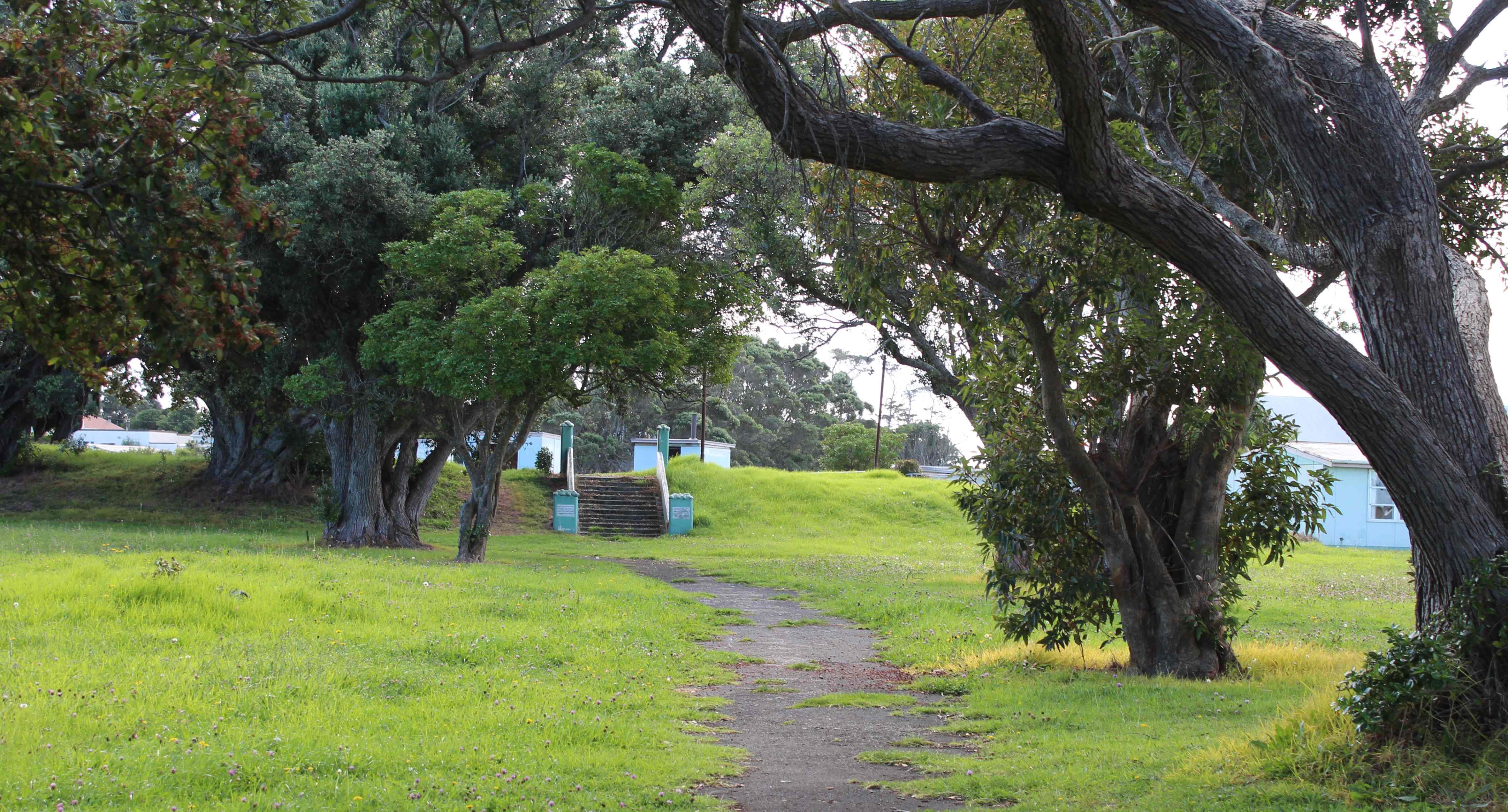 Patea Avenue 2015