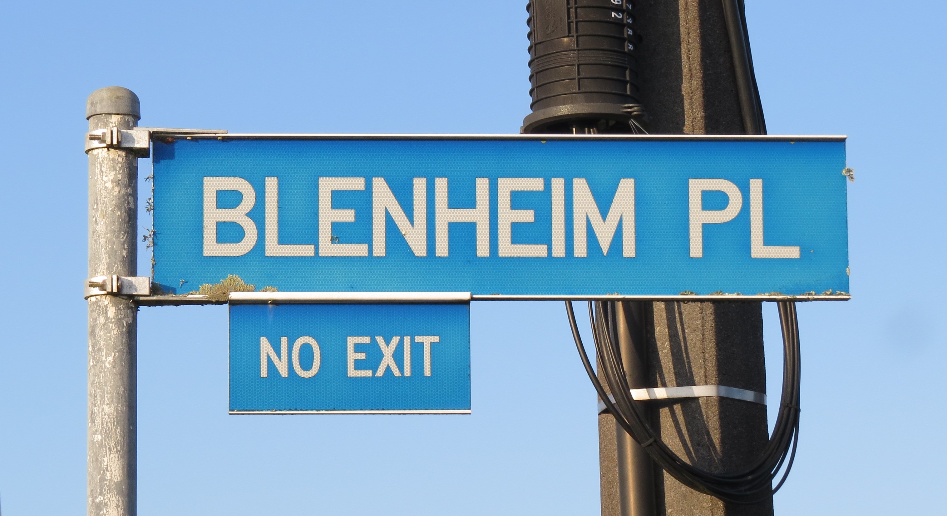 Blenheim Place street sign (2024). Rachel Sonius. Word on the Street image collection.